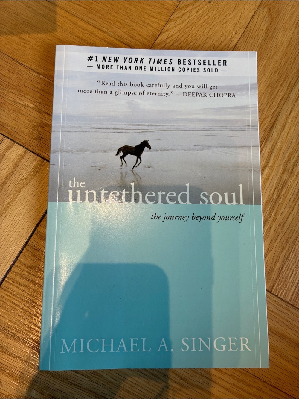The Untethered Soul The Journey Beyond Yourself